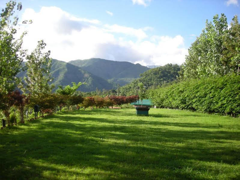 Gazaari Greenz Resort